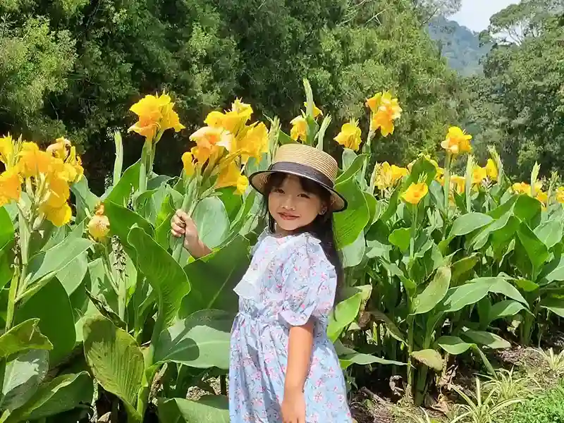 Travel Style